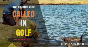 Understanding Golf's Water Hazards: What Are They Called and How to Navigate Them
