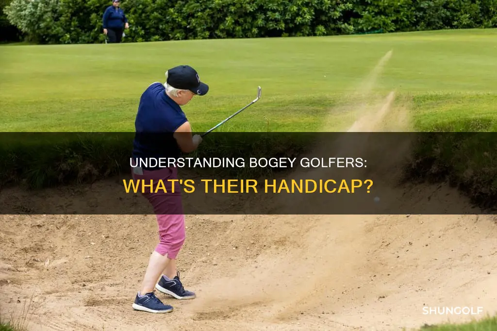 what is a bogey golfer