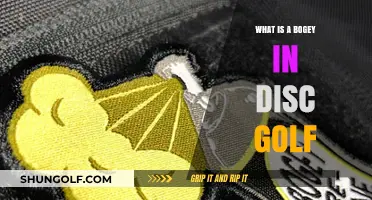 Mastering the Bogey: A Beginner's Guide to Disc Golf Scoring