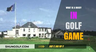 Understanding the Bogey: A Beginner's Guide to Golf Scoring