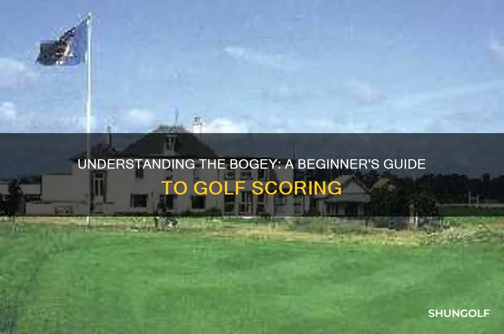 what is a bogey in golf game