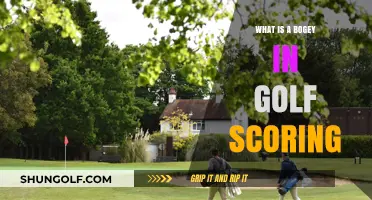 Understanding Bogeys: A Beginner's Guide to Golf Scoring Basics
