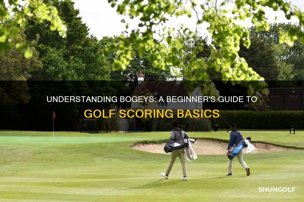 what is a bogey in golf scoring