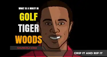 Understanding Bogeys in Golf: Tiger Woods' Perspective and Strategies