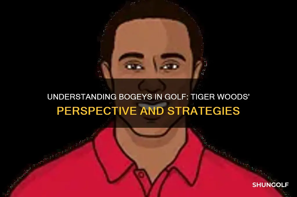 what is a bogey in golf tiger woods