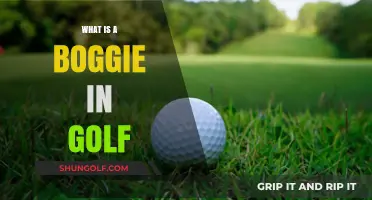 Understanding Golf's Bogey: Definition, Impact, and How to Avoid It