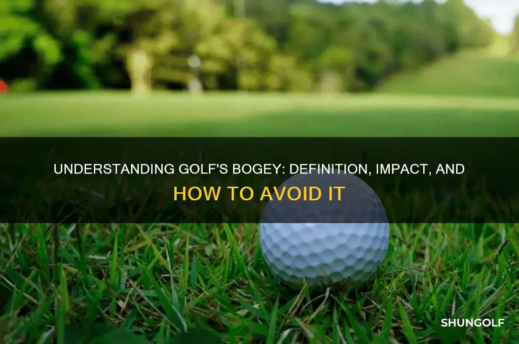 what is a boggie in golf
