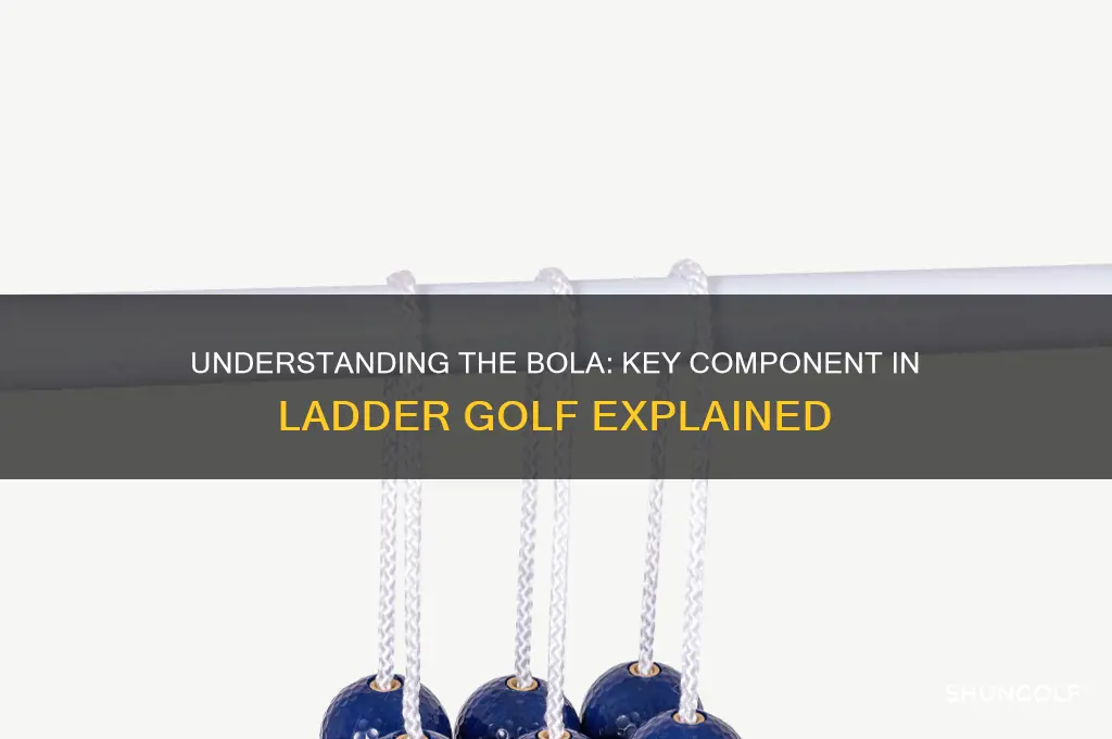 what is a bola in ladder golf