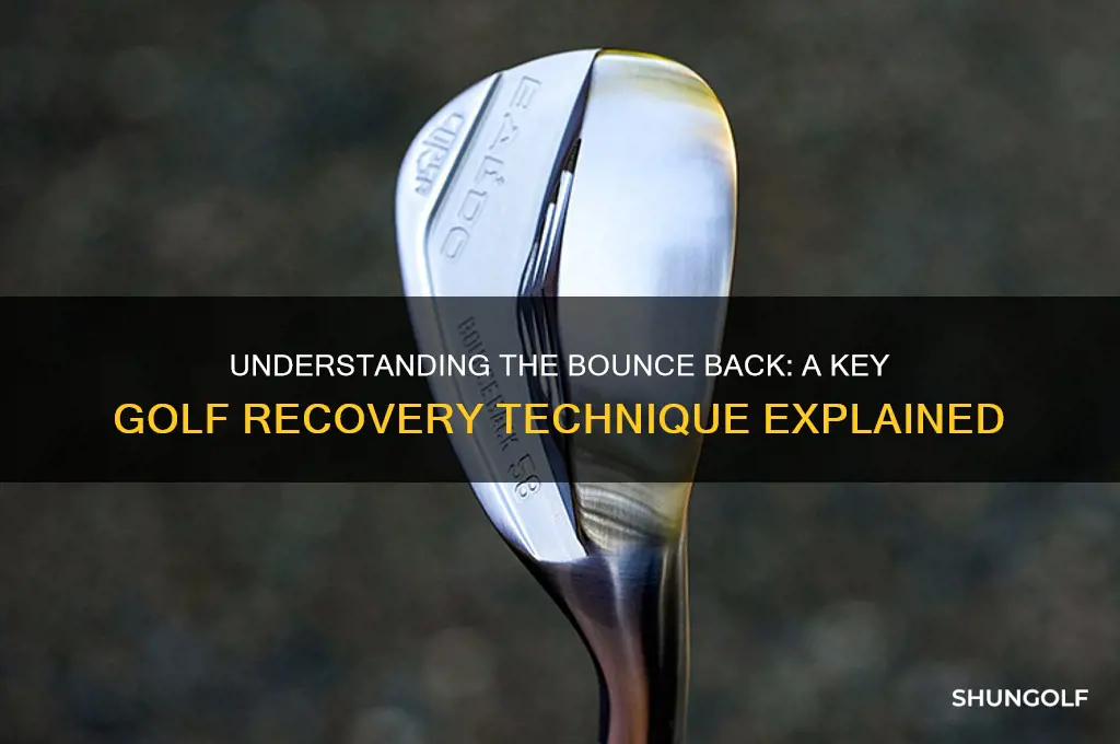 what is a bounce back in golf