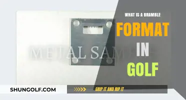 Understanding the Bramble Format: A Unique Golf Tournament Style Explained