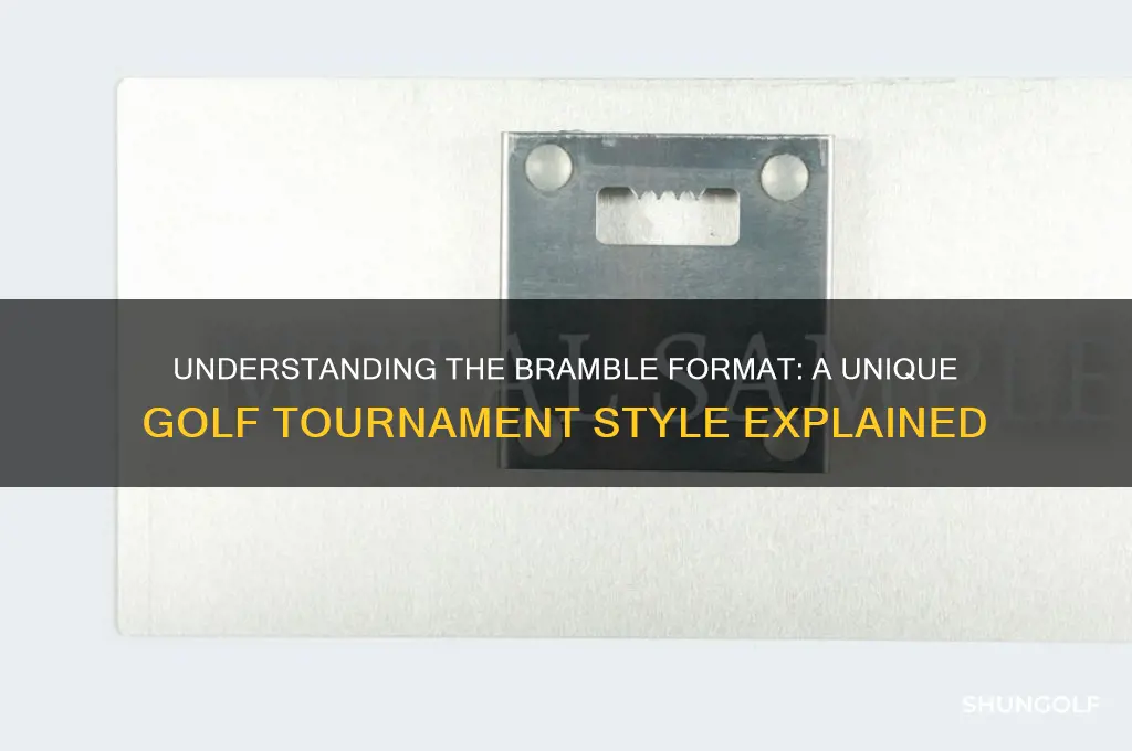 what is a bramble format in golf