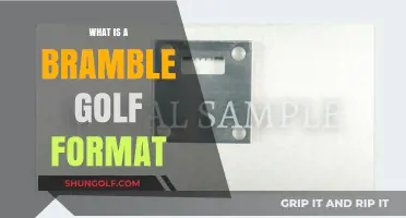 Understanding Bramble Golf: A Unique and Fun Tournament Format Explained