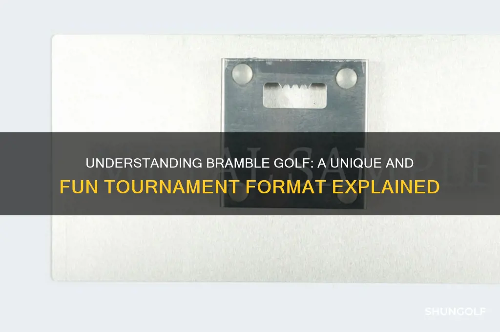 what is a bramble golf format