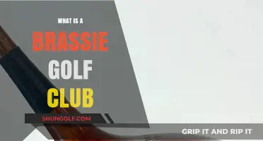 Understanding the Brassie Golf Club: History, Uses, and Modern Alternatives