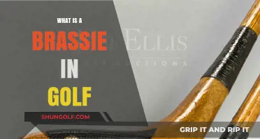 Understanding the Brassie: A Vintage Golf Club's Role and History
