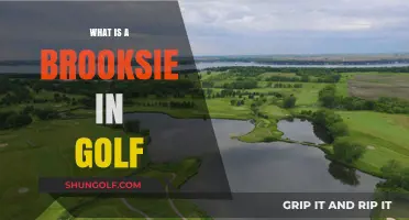 Understanding the Brooksie: A Unique Golf Shot Explained Simply