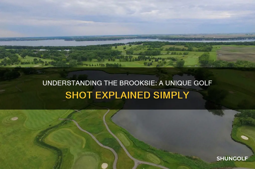 what is a brooksie in golf