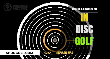 Precision in Play: Understanding the Bullseye Hit in Disc Golf