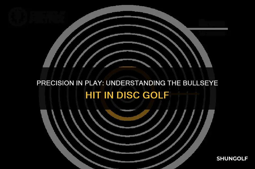 what is a bullseye hit in disc golf