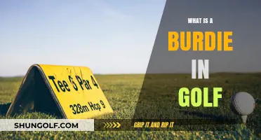 Understanding the Golf Term 'Birdie': Origins, Scoring, and Impact on Gameplay