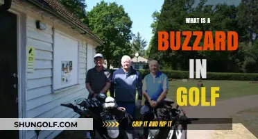 Understanding the Buzzard in Golf: Meaning, Rules, and Scoring Explained