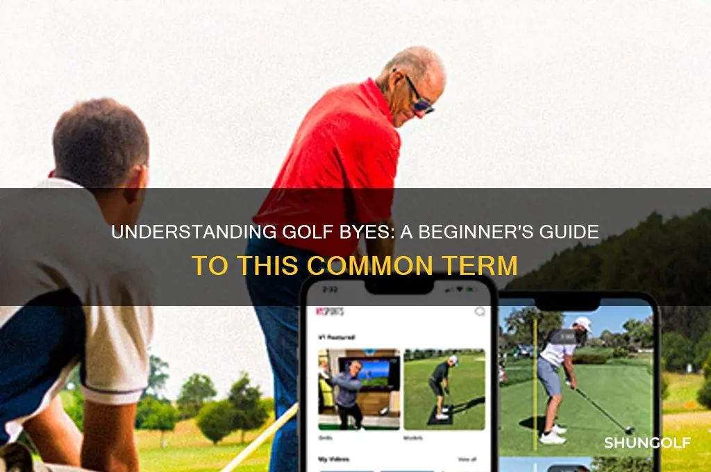 what is a bye in golf