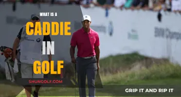 Golf Caddies: Who They Are and What They Do