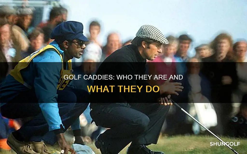 what is a caddie in golf
