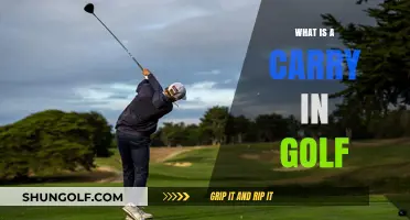 Understanding the Carry in Golf: Essential Concepts for Every Golfer