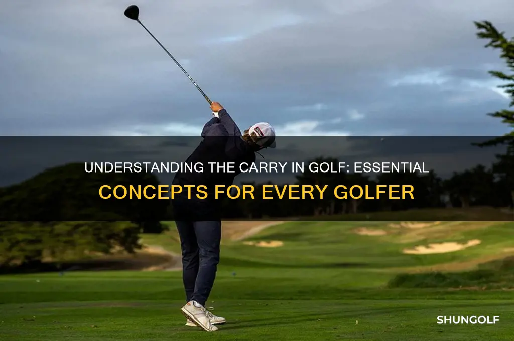 what is a carry in golf