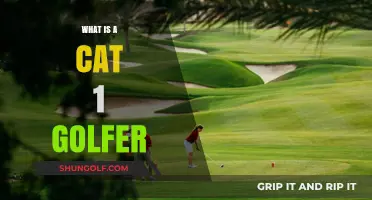 Understanding the Skills and Requirements of a Category 1 Golfer