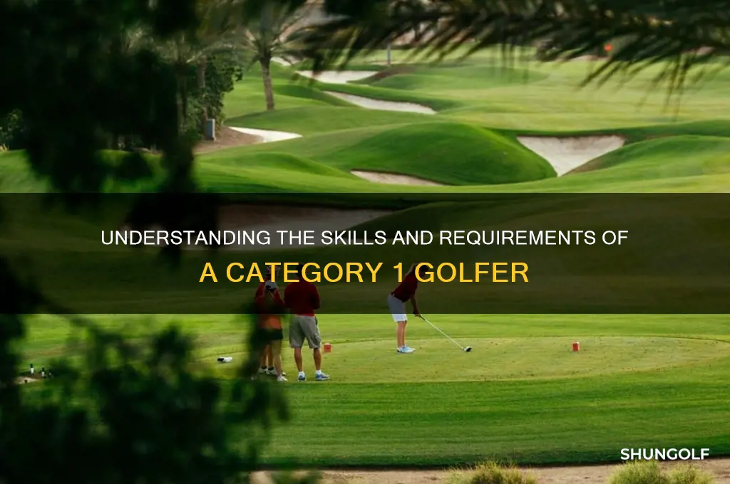 what is a cat 1 golfer