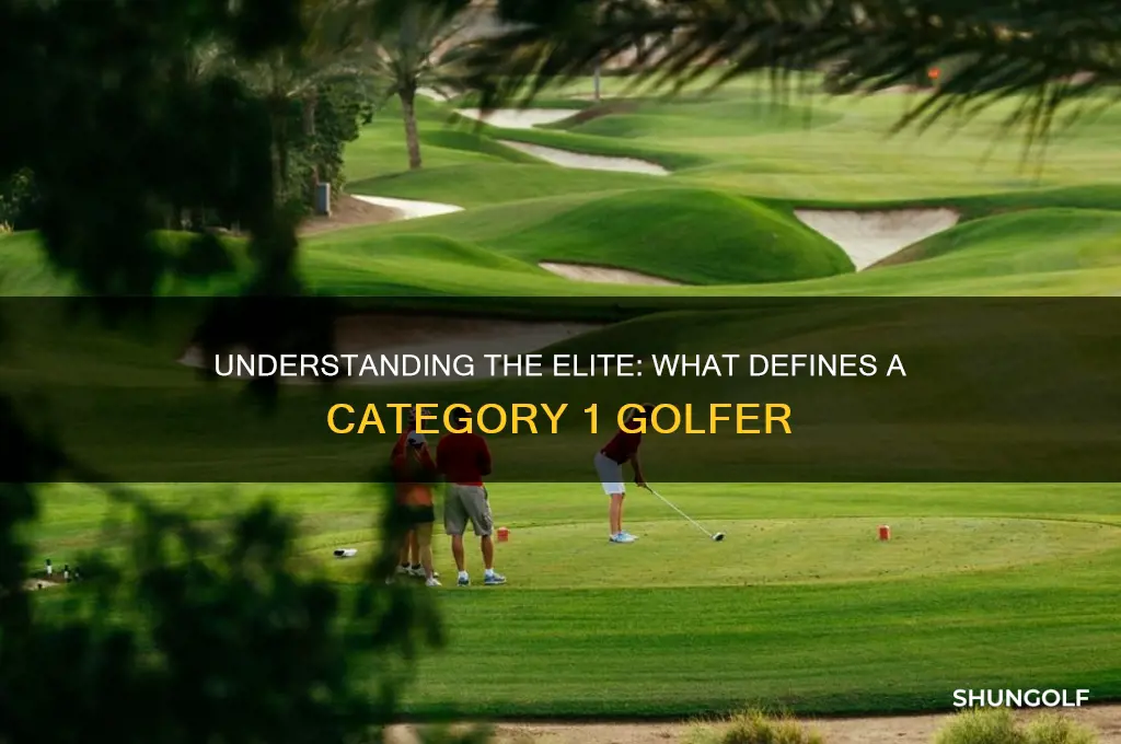 what is a category 1 golfer