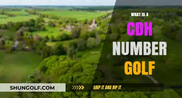 Understanding the CDH Number in Golf: A Comprehensive Guide