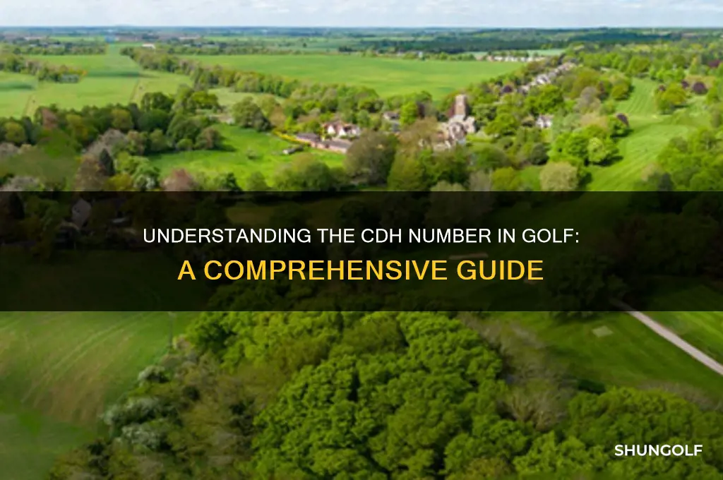 what is a cdh number golf