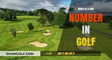 Understanding the CDH Number: A Golfer's Essential Handicap Identifier