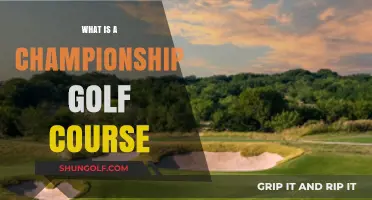 Exploring the Design and Standards of Championship Golf Courses
