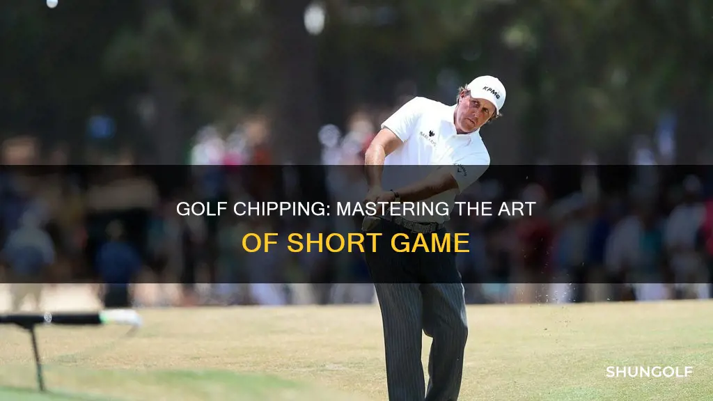 what is a chip in golf