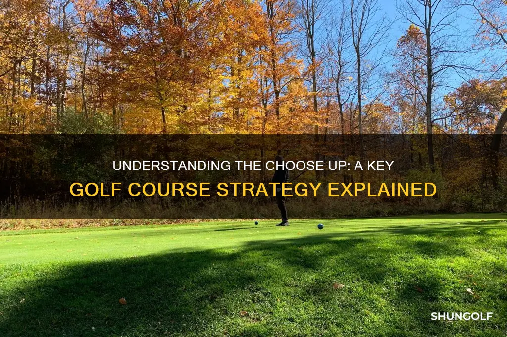 what is a choose up in golf