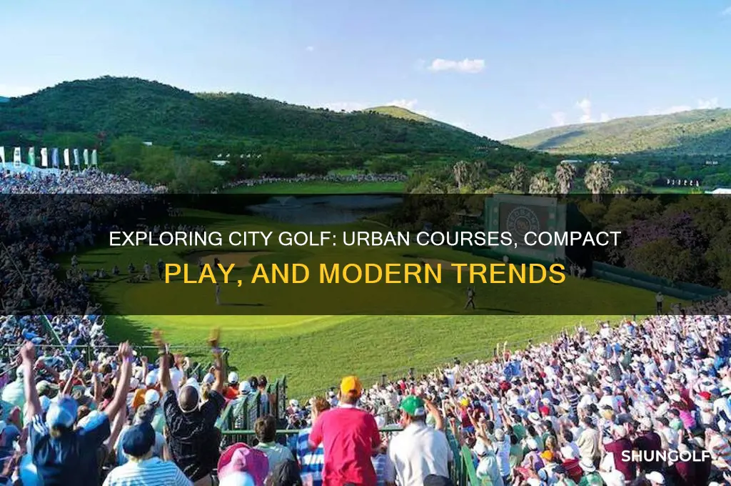 what is a city golf