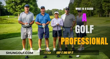 Understanding the Role and Responsibilities of a Class A Golf Professional