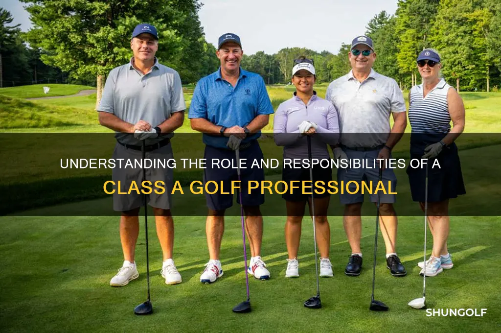what is a class a golf professional