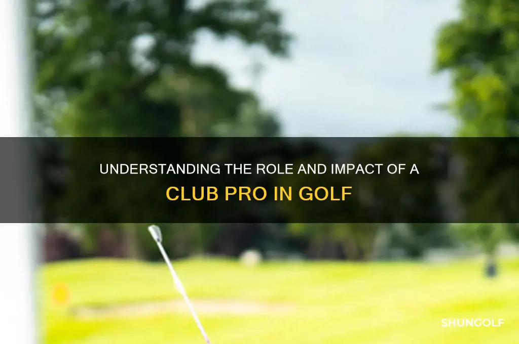 what is a club pro golf