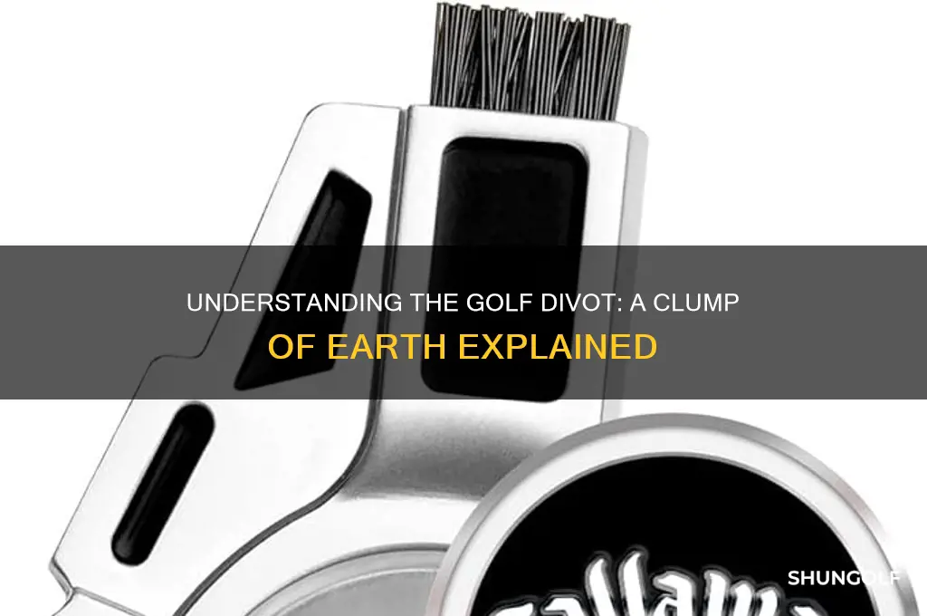 what is a clump of earth excavated by a golfer
