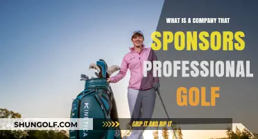 Exploring Top Companies Sponsoring Professional Golf: Brands and Partnerships