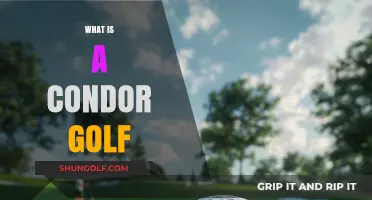 Understanding the Rare Condor in Golf: A Hole-in-One on a Par 5