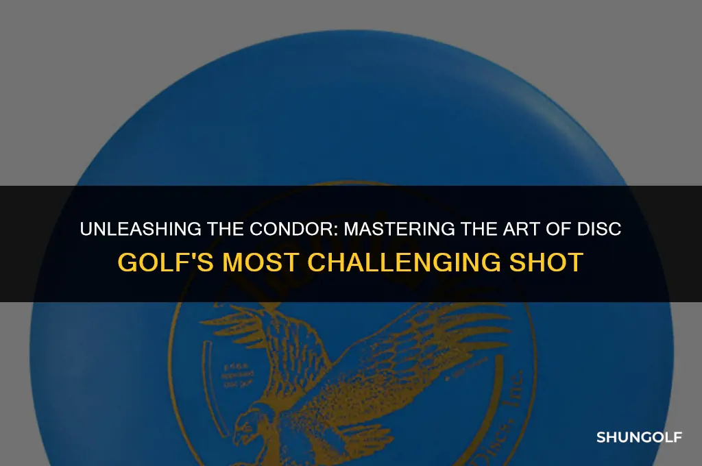 what is a condor in disc golf