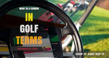 Understanding the Condor: Golf's Rarest Scoring Feat Explained