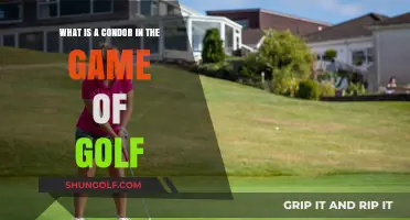 Understanding the Condor: Golf's Rarest Scoring Phenomenon Explained