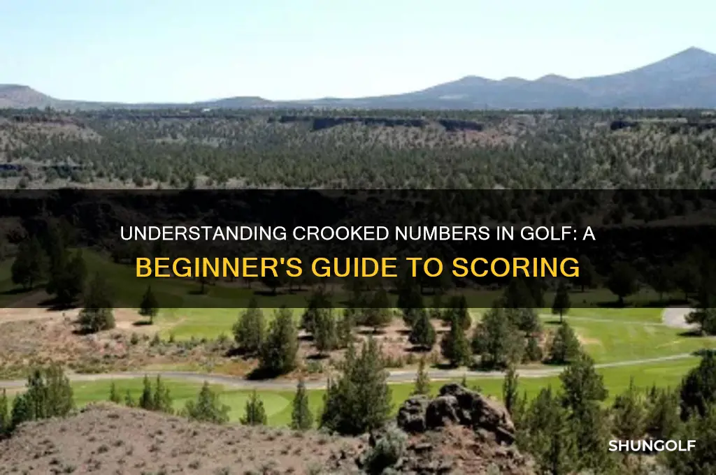 what is a crooked number in golf
